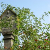 0909F 061 Mainschleife